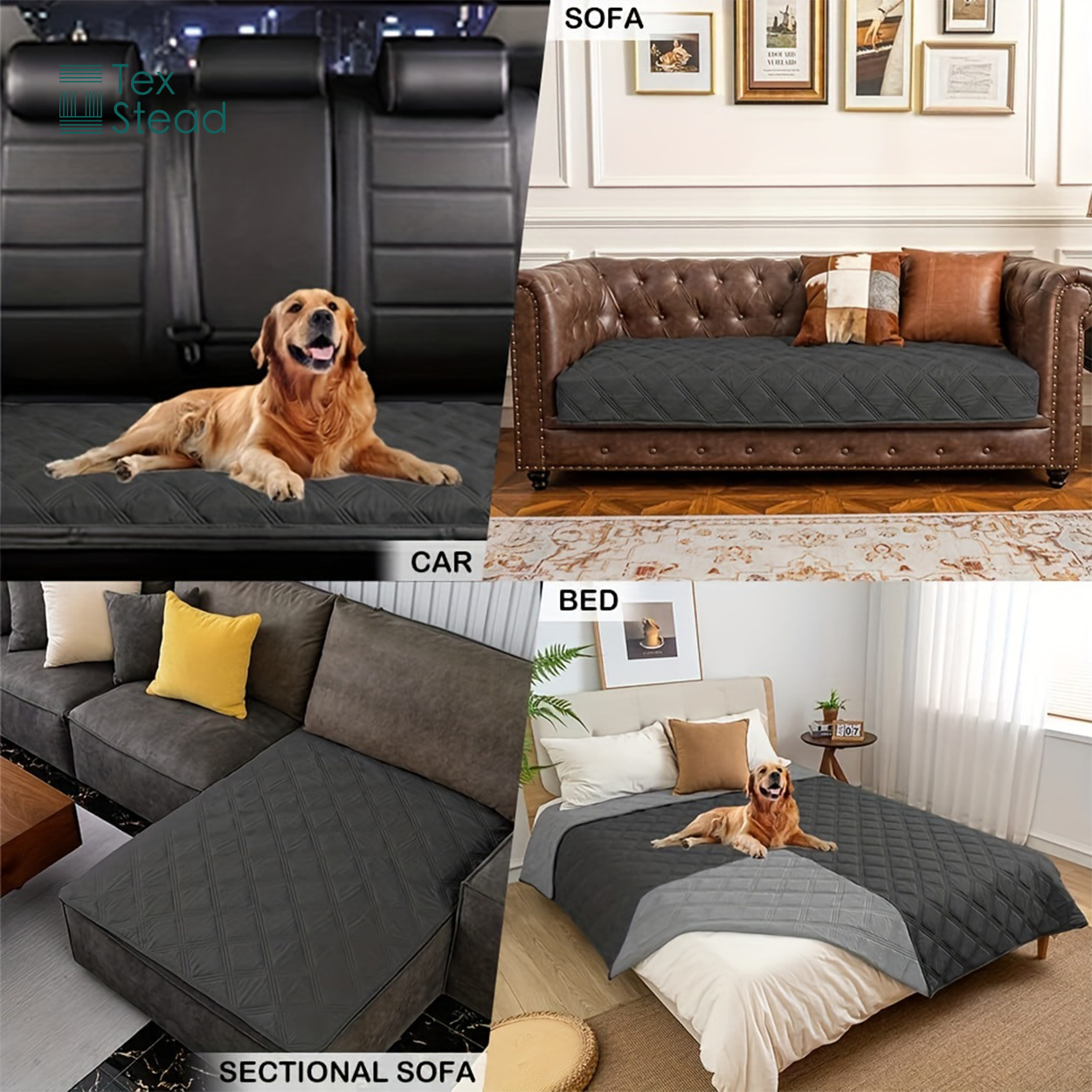 Wendbare Wasserdichte Hundedec – Mattress Protector Waterproof Bewertung und Preis