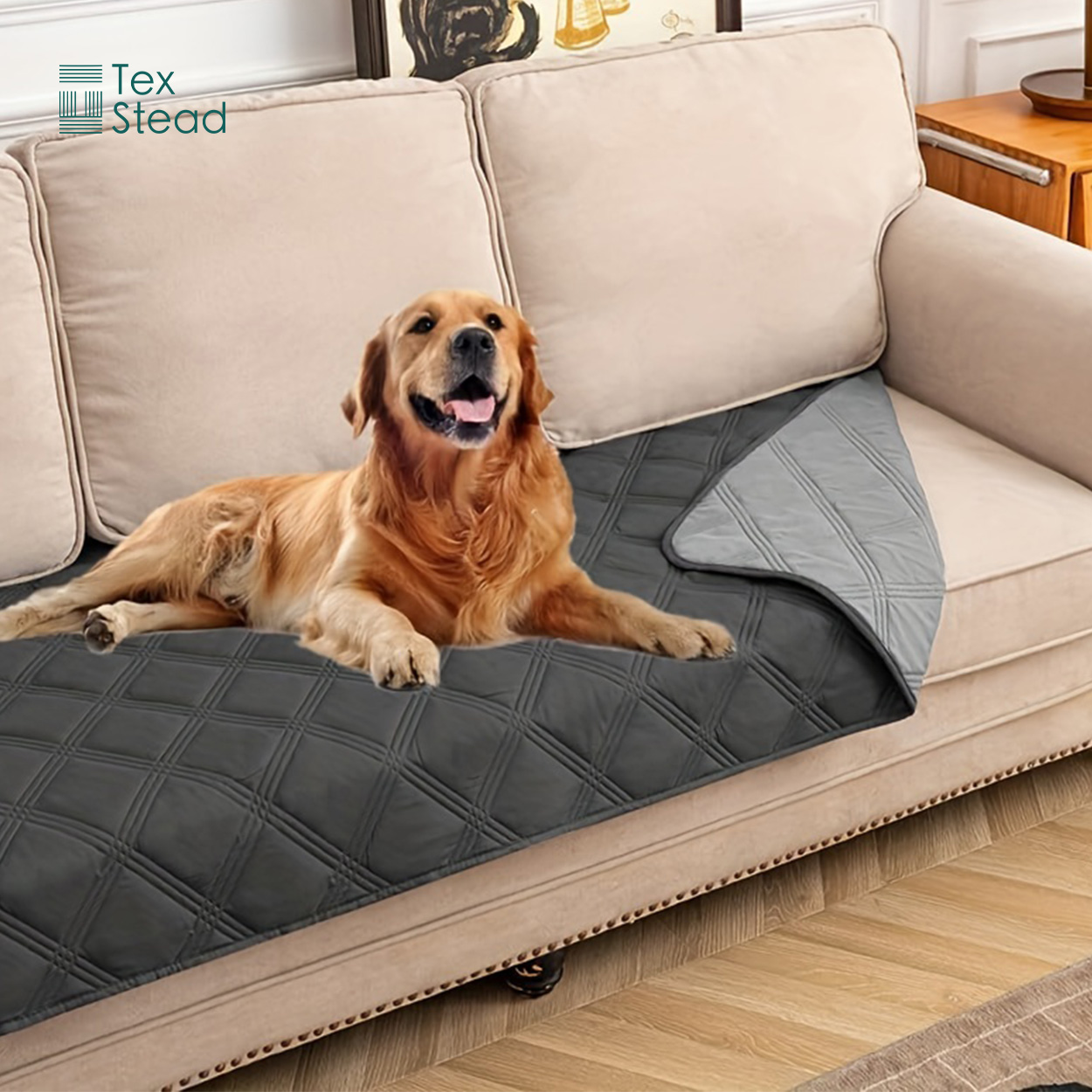 Wendbare Wasserdichte Hundedec – Mattress Protector Waterproof Bewertung und Preis