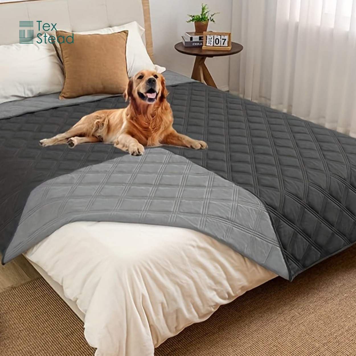 Wendbare Wasserdichte Hundedec – Mattress Protector Waterproof Bewertung und Preis